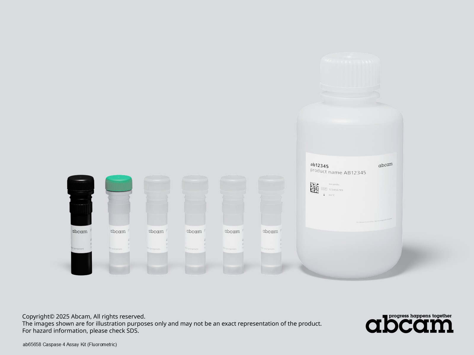 Schematic Diagram - Caspase 4 Assay Kit (Fluorometric) (AB65658)