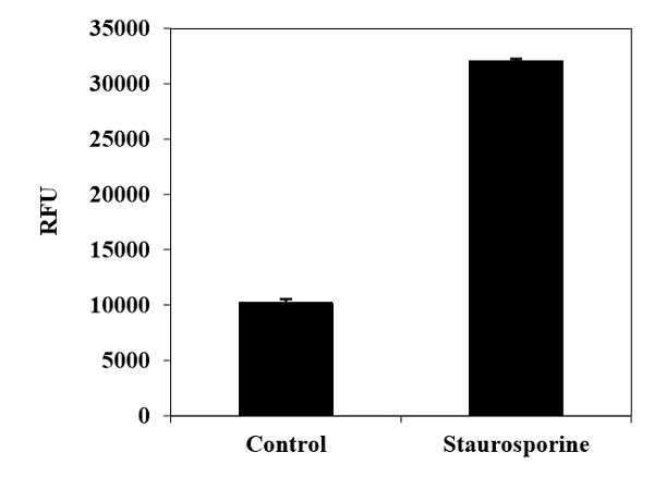 Functional Studies - Caspase-6 (active) Staining Kit - Green Fluorescence (AB219936)