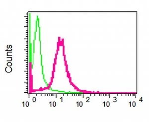 Flow Cytometry (Intracellular) - Anti-Caspase-6/CASP-6 antibody [EPR4405] - BSA and Azide free (AB247635)