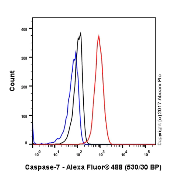 Flow Cytometry (Intracellular) - Anti-Caspase-7 antibody [E22] - BSA and Azide free (AB284673)