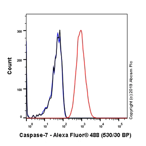 Flow Cytometry (Intracellular) - Anti-Caspase-7 antibody [EPR22839-12] (AB255818)