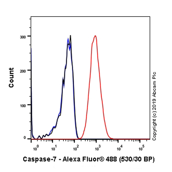Flow Cytometry (Intracellular) - Anti-Caspase-7 antibody [EPR22839-12] - BSA and Azide free (AB256539)