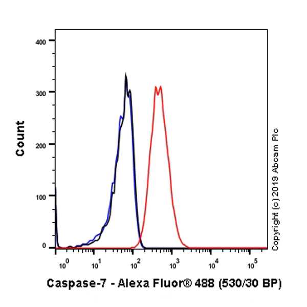 Flow Cytometry (Intracellular) - Anti-Caspase-7 antibody [EPR22839-12] - BSA and Azide free (AB256539)