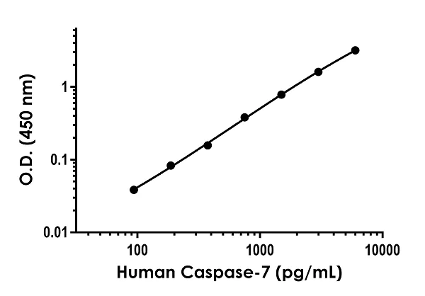 Sandwich ELISA - Anti-Caspase-7 antibody [EPR22839-73] - BSA and Azide free (Capture) (AB274444)