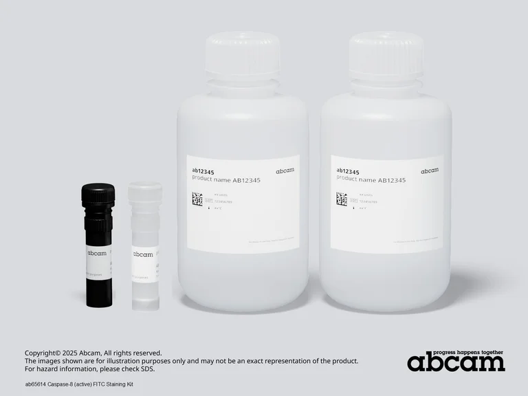Other - Caspase-8 (active) FITC Staining Kit (AB65614)