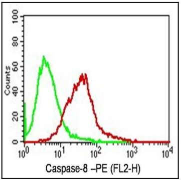 Flow Cytometry - Anti-Caspase-8 antibody [ABM14C1] (AB220171), expandable thumbnail