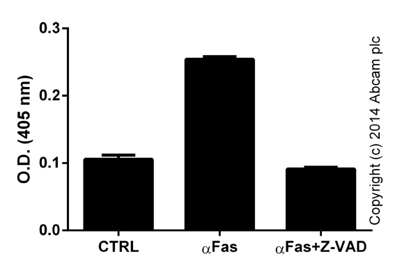 Functional Studies - Caspase-8 Assay Kit (Colorimetric) (AB39700), expandable thumbnail