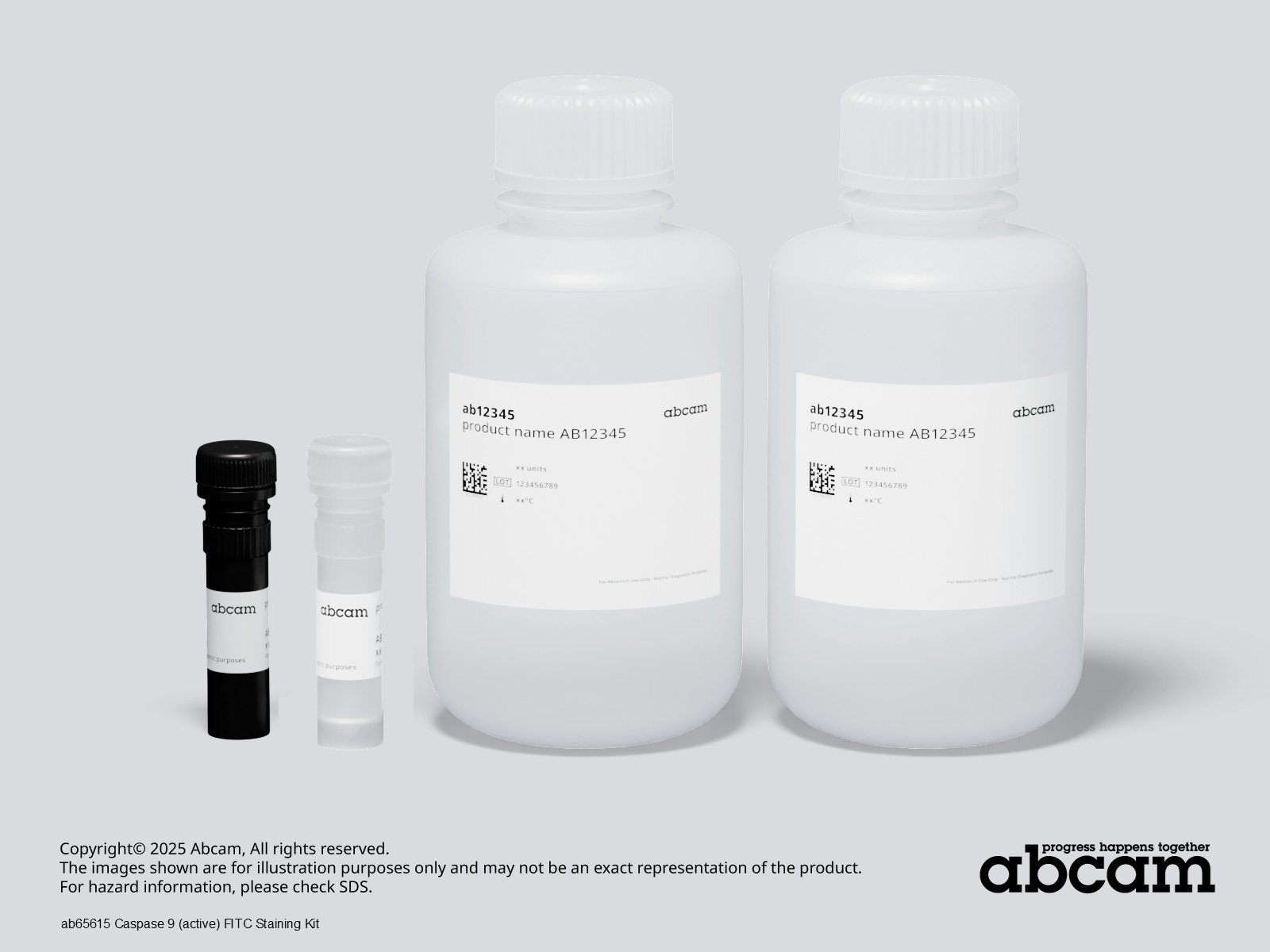 Schematic Diagram - Caspase 9 (active) FITC Staining Kit (AB65615)
