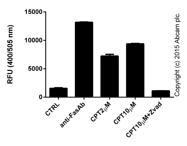 Functional Studies - Caspase 9 Assay Kit (Fluorometric) (AB65607)