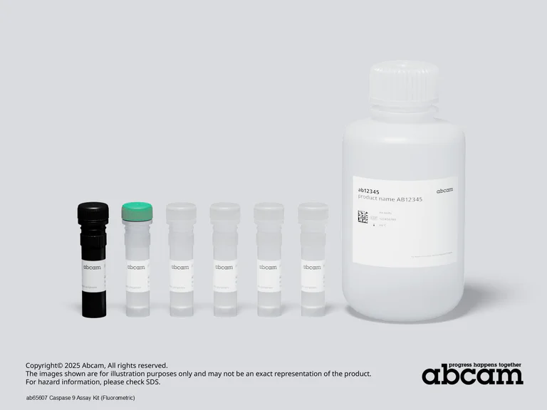 Schematic Diagram - Caspase 9 Assay Kit (Fluorometric) (AB65607)