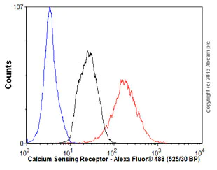 Flow Cytometry - Anti-CaSR antibody [5C10, ADD] (AB19347)