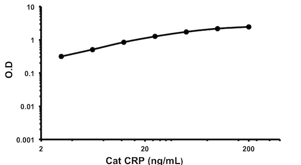 Sandwich ELISA - Cat CRP ELISA kit (AB190520)