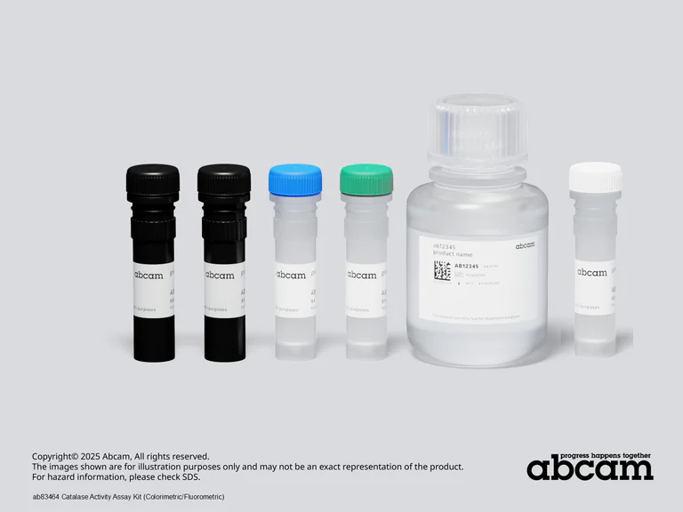 Other - Catalase Activity Assay Kit (Colorimetric/Fluorometric) (AB83464)