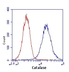 Flow Cytometry - Anti-Catalase antibody [12C2DB9] - Peroxisome Marker (AB110292)