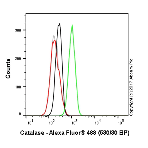 Flow Cytometry - Anti-Catalase antibody [12C2DB9] - Peroxisome Marker (AB110292)