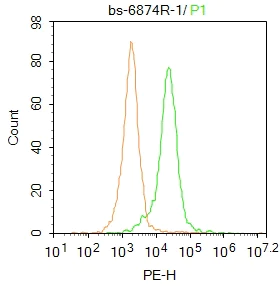 : catalase 60,000 - unique potency and full... Anti-Catalase antibody (ab217793) | Abcam