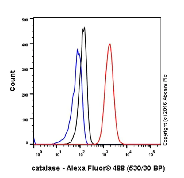 Flow Cytometry (Intracellular) - Anti-Catalase antibody [EPR20198] - BSA and Azide free (AB223793)