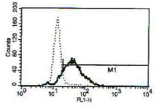 Flow Cytometry - Anti-Cathelicidin/CLP antibody [B-T37] - BSA and Azide free (AB288539)