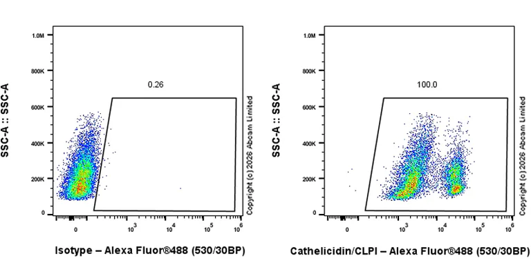 Flow Cytometry (Intracellular) - Anti-Cathelicidin/CLP antibody [RM1363] (AB325356)