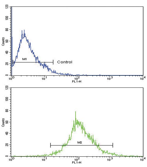 Flow Cytometry (Intracellular) - Anti-Cathepsin B antibody (AB190077)