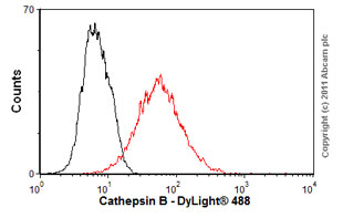 Flow Cytometry - Anti-Cathepsin B antibody [CA10] (AB58802)