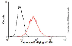 Flow Cytometry - Anti-Cathepsin B antibody [CA10] (AB58802)