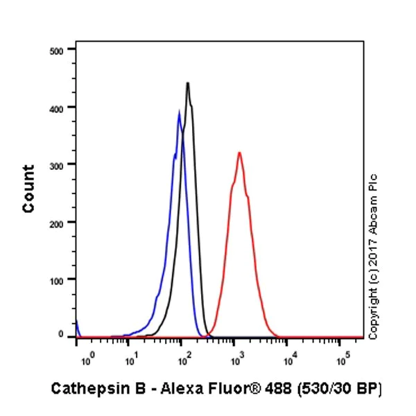Flow Cytometry (Intracellular) - Anti-Cathepsin B antibody [EPR21033] - BSA and Azide free (AB227811)