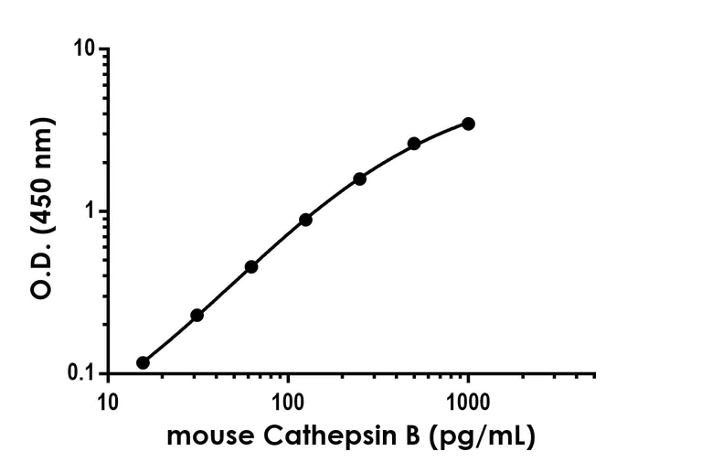 Sandwich ELISA - Anti-Cathepsin B antibody [EPR21932-215] - BSA and Azide free (Detector) (AB300177)