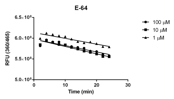 Functional Studies - Cathepsin B Inhibitor Screening Kit (Fluorometric) (AB185438)