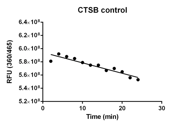 Functional Studies - Cathepsin B Inhibitor Screening Kit (Fluorometric) (AB185438)