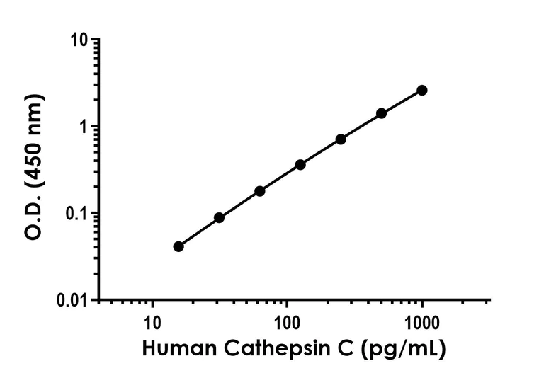 Sandwich ELISA - Anti-Cathepsin C antibody [EPR26636-81] - BSA and Azide free (Capture) (AB314794)