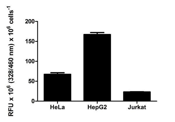 Functional Studies - Cathepsin D Activity Assay Kit (Fluorometric) (AB65302)