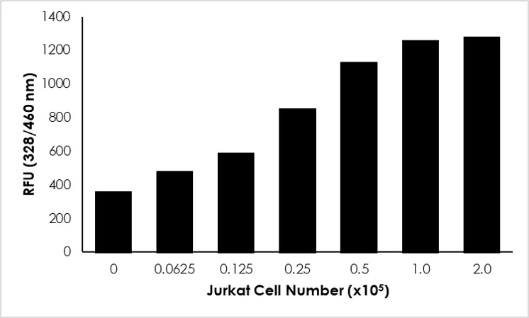 Functional Studies - Cathepsin D Activity Assay Kit (Fluorometric) (AB65302)