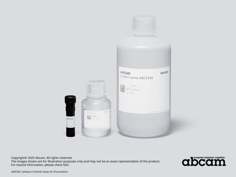 Schematic Diagram - Cathepsin D Activity Assay Kit (Fluorometric) (AB65302)