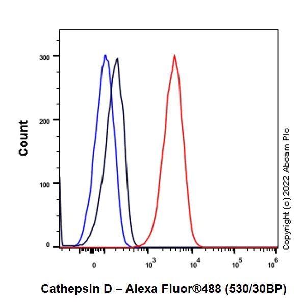 Flow Cytometry (Intracellular) - Anti-Cathepsin D [EPR3057Y] - Mouse IgG2a (Chimeric) - BSA and Azide free (AB302650)