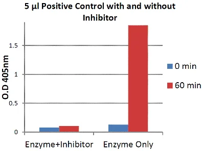Functional Studies - Cathepsin G Activity Assay Kit (Colorimetric) (AB126780)