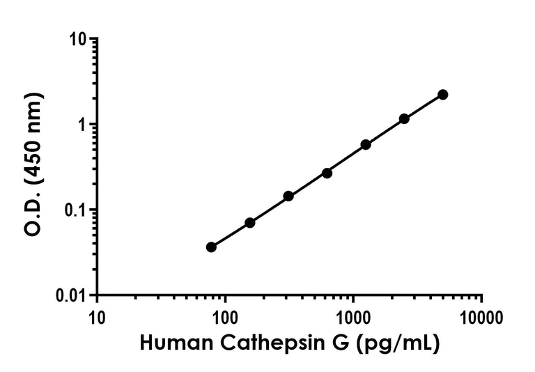 Sandwich ELISA - Anti-Cathepsin G antibody [EPR24170-140] - BSA and Azide free (Detector) (AB308564)