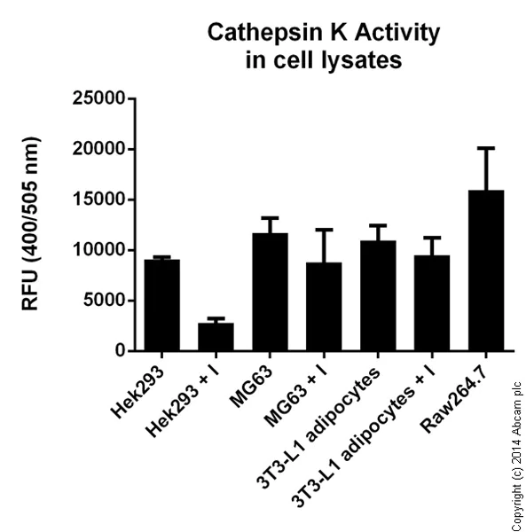 Functional Studies - Cathepsin K Activity Assay Kit (Fluorometric) (AB65303)