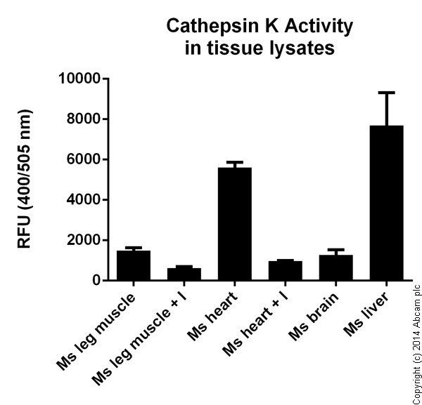 K様ご確認用です。 Cathepsin K Activity Assay Kit (Fluorometric) (ab65303) | Abcam