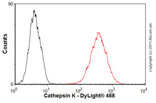 Flow Cytometry - Anti-Cathepsin K antibody [3F9] (AB37259), expandable thumbnail