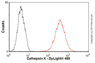 Flow Cytometry - Anti-Cathepsin K antibody [3F9] (AB37259)