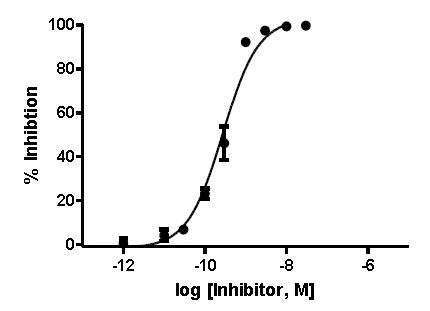 Functional Studies - Cathepsin L Inhibitor Assay Kit (Fluorometric) (AB197012)