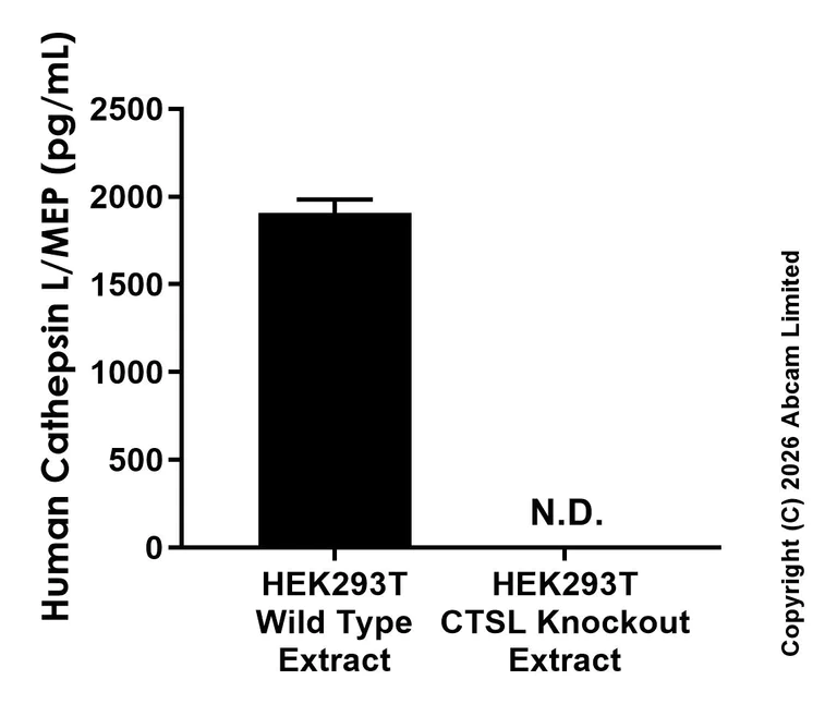 Sandwich ELISA - Anti-Cathepsin L/MEP antibody [EPR30887-545] - BSA and Azide free (Detector) (AB325612)