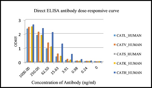 ELISA - Anti-Cathepsin L/V/K/H antibody [EPR8011] (AB133641), expandable thumbnail