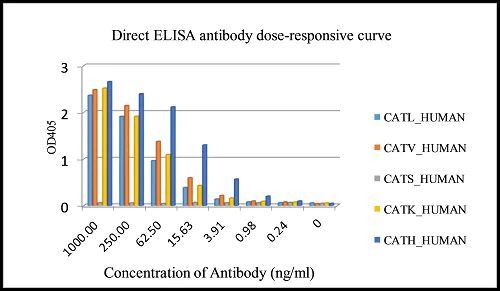 ELISA - Anti-Cathepsin L/V/K/H antibody [EPR8011] (AB133641)