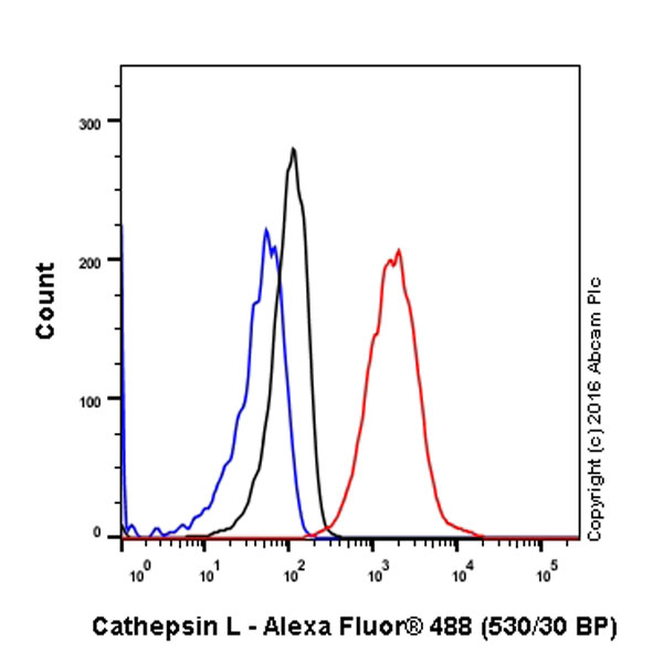Flow Cytometry (Intracellular) - Anti-Cathepsin L/V/K/H antibody [EPR8011] (AB133641), expandable thumbnail