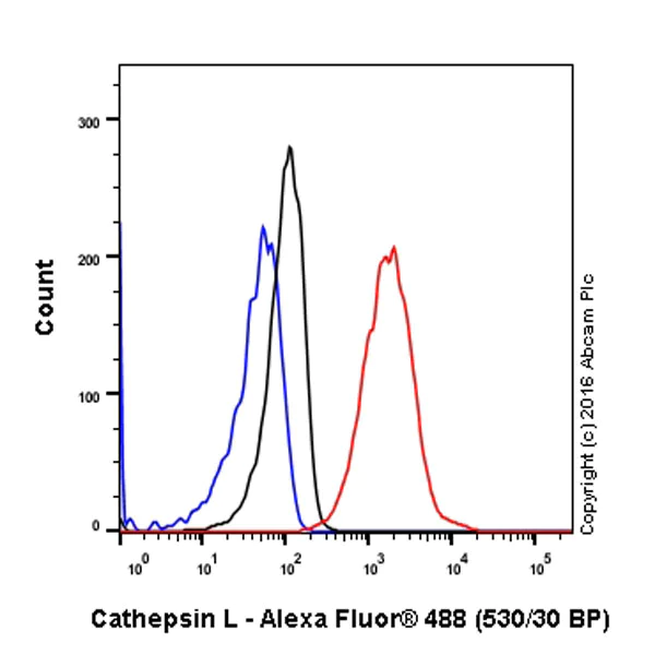 Flow Cytometry (Intracellular) - Anti-Cathepsin L/V/K/H antibody [EPR8011] (AB133641)