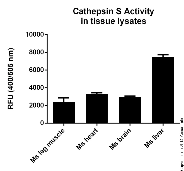 Functional Studies - Cathepsin S Activity Assay Kit (Fluorometric) (AB65307)