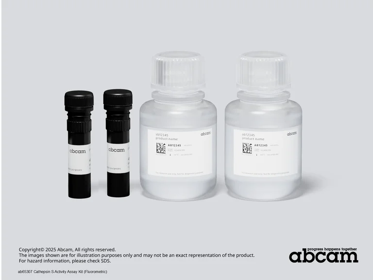 Other - Cathepsin S Activity Assay Kit (Fluorometric) (AB65307)