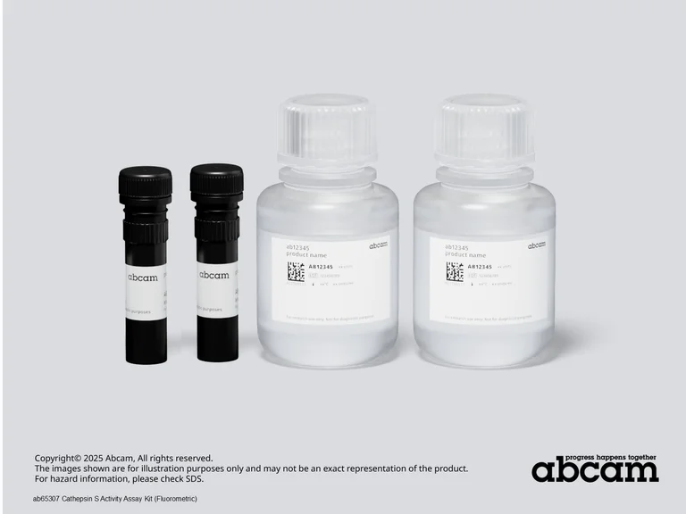Schematic Diagram - Cathepsin S Activity Assay Kit (Fluorometric) (AB65307)